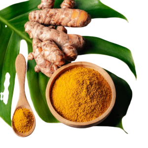 Turmeric Powder